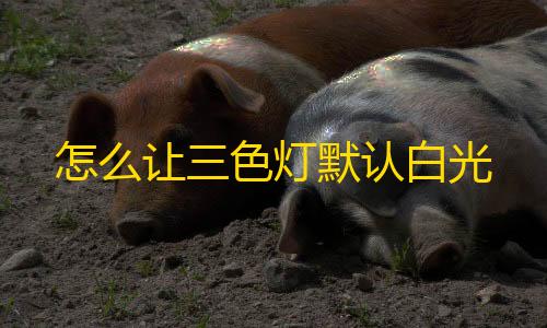 第五人格直装透视怎么让三色灯默认白光